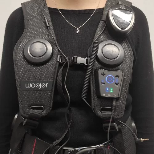 BTS IBERICA Immersive Live FW5.3 – Versión Woojer Live Series 3 - Imagen 3